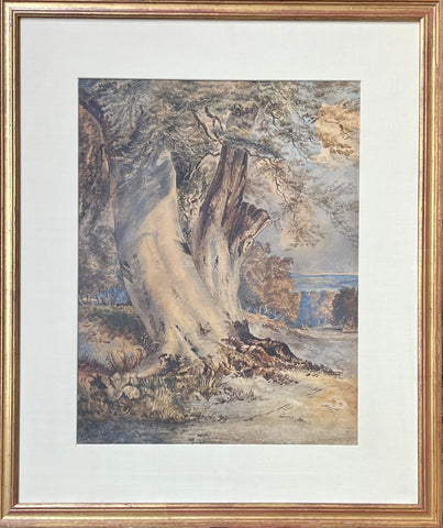 DAVID COX THE ELDER "UNTITLED (TREE IN MOONLIGHT)" 1841