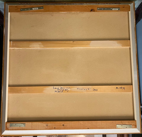 MARIE LANNOO "STRETCH #5" 2008