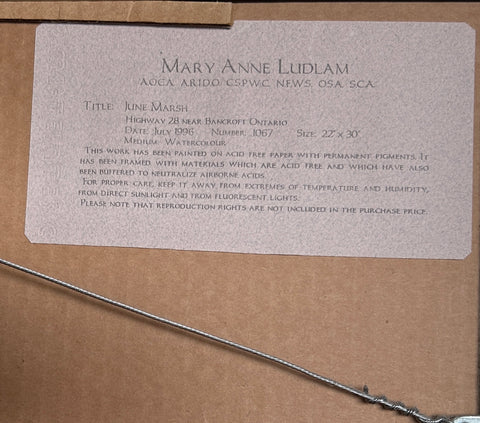 MARY ANNE LUDLAM "JUNE MARSH" 1996