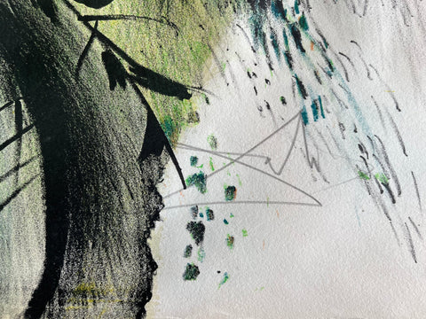 SALVADOR DALI "LES FLEURS ET FRUITS" 131/250 1971