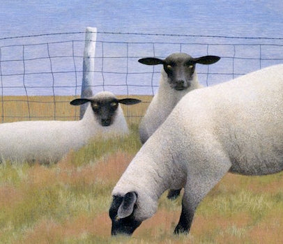 ALEX COLVILLE "THREE SHEEP" 238/950